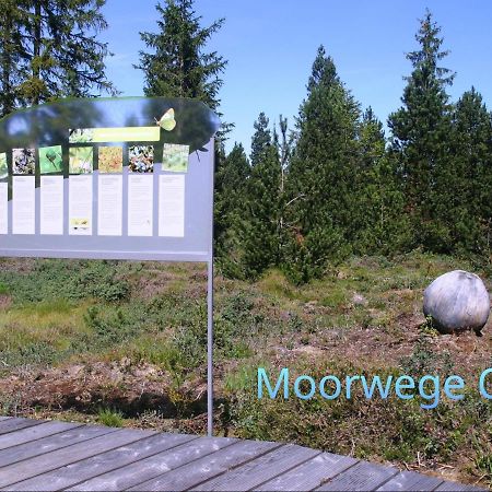 Ferienwohnung Schoene Auszeit Ой-Миттельберг Экстерьер фото